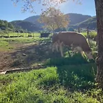 La Gemma Del Parco Mormanno
