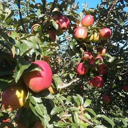 Agroturismo La Gemma Del Parco *