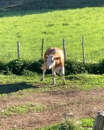 Farm stay La Gemma Del Parco *