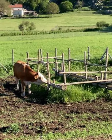 Farm stay La Gemma Del Parco Mormanno