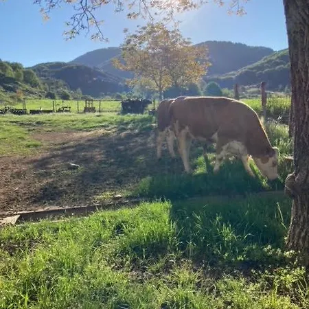 La Gemma Del Parco Mormanno