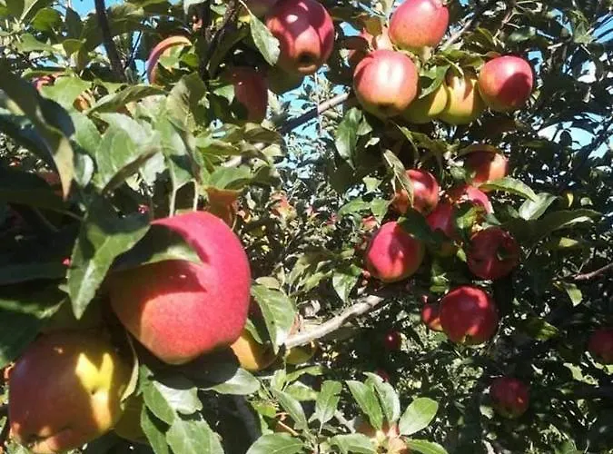 Alojamento de Turismo Rural La Gemma Del Parco *