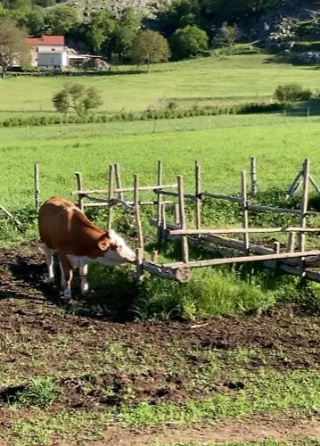 Alojamento de Turismo Rural La Gemma Del Parco Mormanno