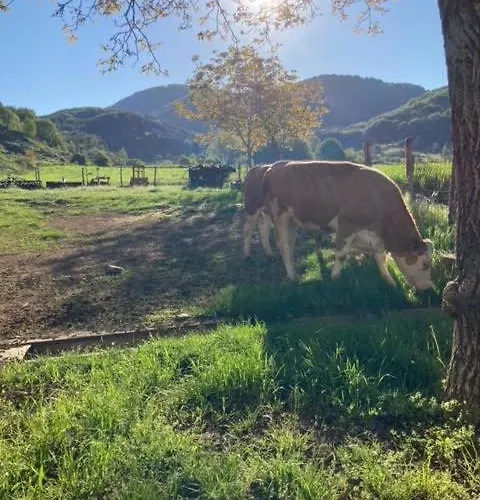 La Gemma Del Parco Mormanno